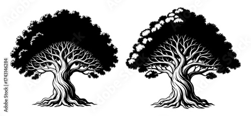Vector art of majestic oak tree illustration, showcasing intricate branches and roots, symbolizing strength and resilience