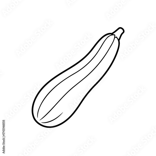 Outline drawing of a zucchini art on transparent background