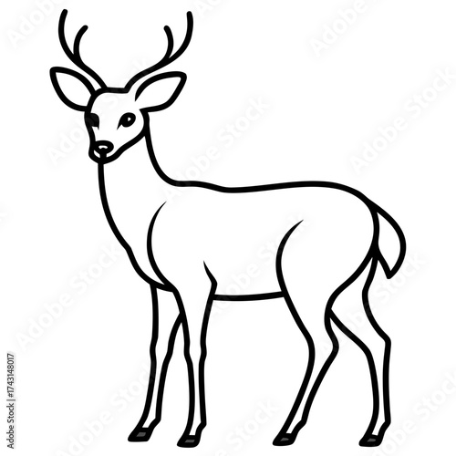 silhouette of a deer