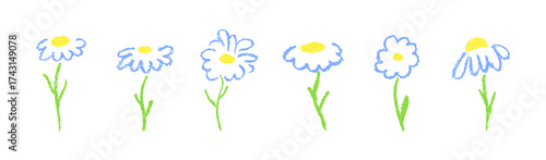Aesthetic handdrawn vector set of chamomile and chrysanthemum flowers in crayon and chalk texture. Small grass and petal shapes on paper create cheerful flora symbols for logos or kindergarten artwork