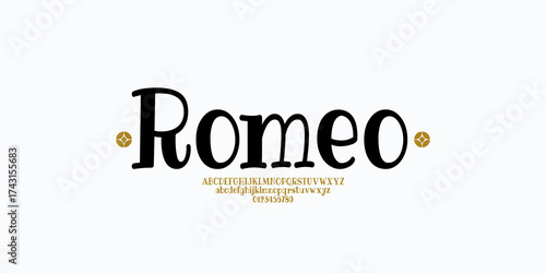 Elegant Font Uppercase Lowercase and Number. Classic Lettering Minimal Fashion Designs. Typography modern serif fonts regular decorative vintage concept. vector illustration