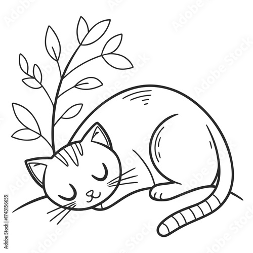 Cute black and white line drawing of a sleeping cat curled up next to a small leafy plant