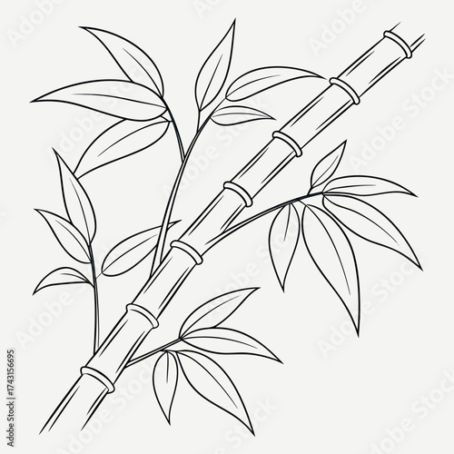 Elegant black and white line art illustration of a bamboo stalk with leaves on a plain background
