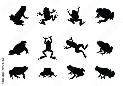 frog sitting jumping set collection pack bundle black shape icon silhouette vector flat illustration design on white background
