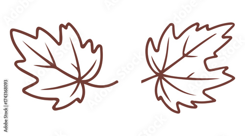 Vector illustration of autumn leaves
