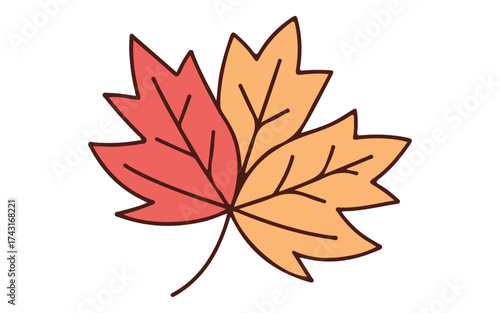 Autumn leaves isolated on white