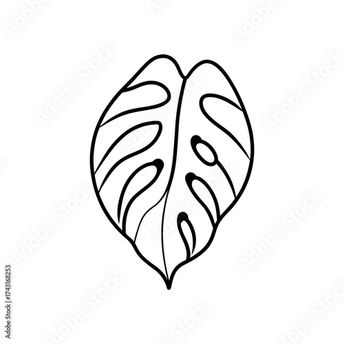 Outline drawing of a monstera leaf with fenestrations in black and white
