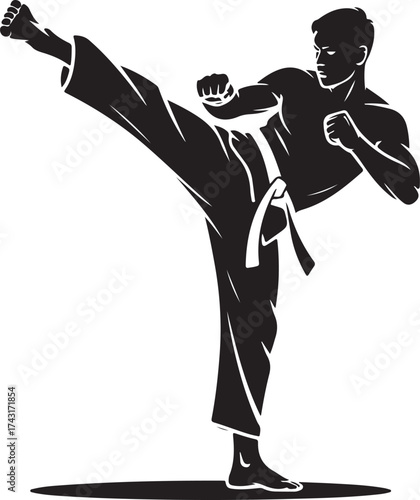 Dynamic martial artist kicks powerfully in silhouette