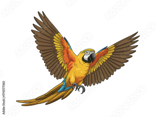 Colorful Macaw Illustration Vibrant Bird in Flight with Open Wings