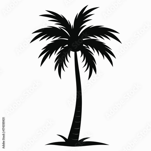 Vector art of silhouette of a single palm tree