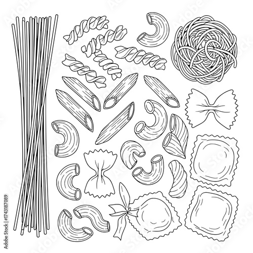 Pasta Varieties Illustration: A detailed illustration of various pasta shapes, each meticulously drawn to showcase its unique form and texture, perfect for culinary and design projects.