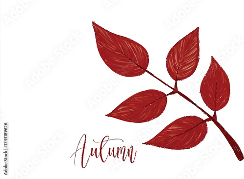 Elegant autumn botanical illustration features a stunning branch with vibrant red leaves, perfect for seasonal designs and cozy fall aesthetics