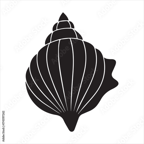 Black seashell illustration on transparent background silhouette