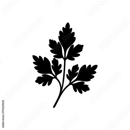 Silhouette of a parsley sprig on transparent background