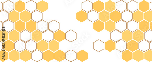 Beehive honey sign with hexagon grid cell isolated on white background. Eps10