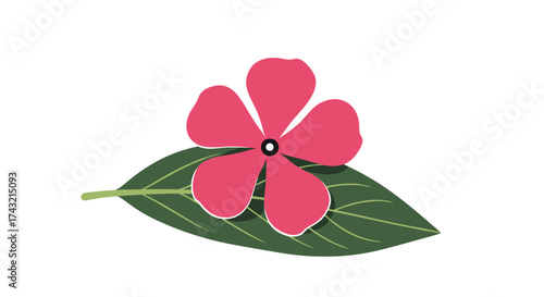 A delicate pink flower rests gracefully upon a vibrant green leaf.