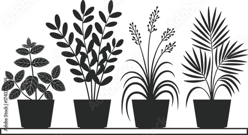 Black and white minimalist illustration of indoor potted plants on shelf, modern botanical silhouette art for home decor design