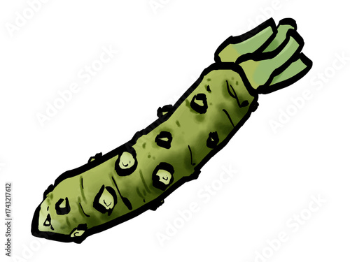 本わさびのイラスト （筆タッチ・薬味） シンプル /  Japanese Wasabi Root – Hand-Drawn Brush Style