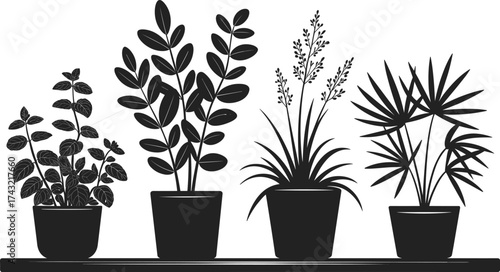 Black and white minimalist illustration of indoor potted plants on shelf, modern botanical silhouette art for home decor design