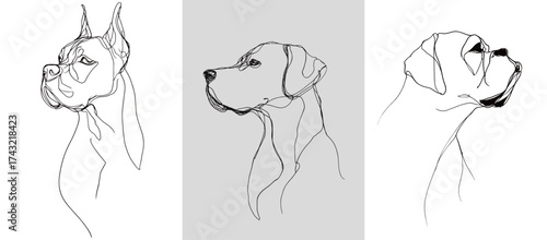This artwork features three line drawings portraying the profile views of various dog breeds.