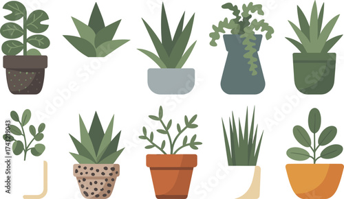 Flat minimalist illustration of indoor potted plants collection, modern home decor greenery, succulent and foliage design elements for decoration