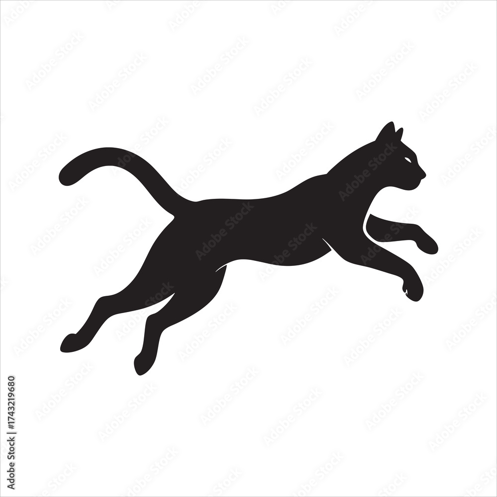 Fototapeta premium black cat silhouette