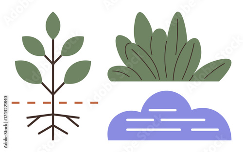 Plant with roots, leafy bush, and abstract cloud in simple flat design. Ideal for ecology, nature, growth, sustainability, environment agriculture and balance concepts. Simple flat metaphor