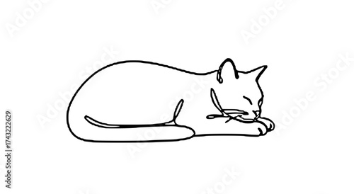 A simple line drawing of a cat curled up and sleeping peacefully on a white background.