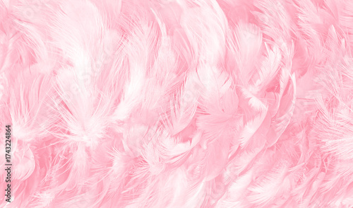 Beautiful abstract soft pink feather pattern texture background 