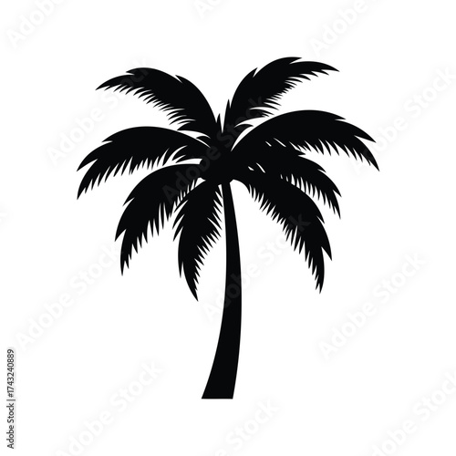 Black Silhouette of Palm Tree with a Tropical Vibe and Exotic Feel, a palm tree silhouette vector illustration