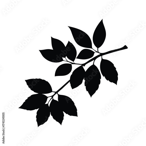 Striking Silhouette of Tree Branch Adorned with Lush Foliage on White Canvas, ash tree branch silhouette vector illustration