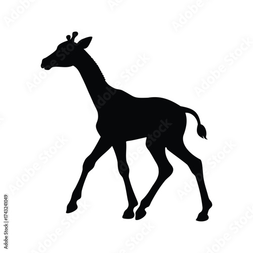 Black giraffe silhouette against white background depicts African wildlife animal gracefully walking, baby giraffe walking silhouette vector illustration