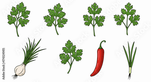Fresh herbs and spices collection with transparent background