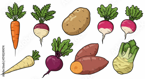 Assorted root vegetables collection with transparent background