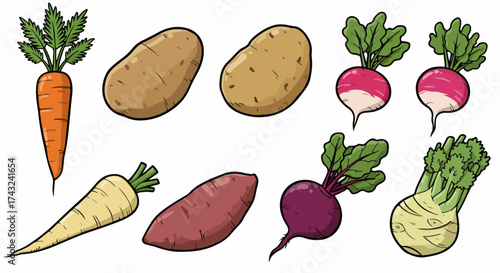 Root vegetables collection with transparent background