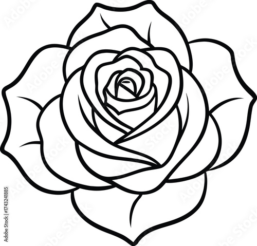 Bild auf Leinwand A rose flower top view outline art isolated on transparent background