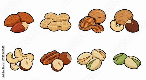 Assorted nuts collection with transparent background