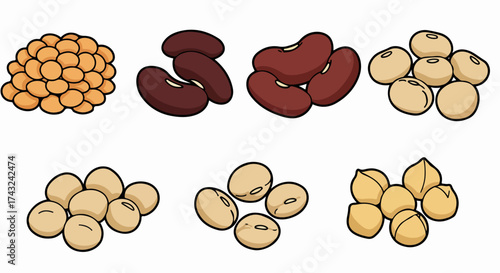 Assorted beans collection with transparent background