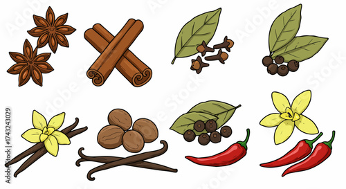 Assorted spices collection with transparent background