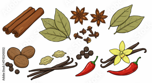 Assorted spices collection with transparent background