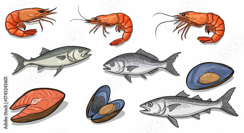 Seafood assortment with transparent background