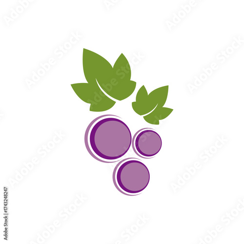 Grapes icon logo vector set.