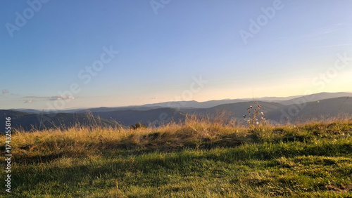 Fototapeta Naklejka Na Ścianę i Meble -  Meadow on a Blotnia Mountain. Beskides.