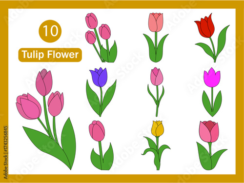 Beautiful tulip flowers of different colors