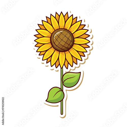 Vector illustration Cartoon sunflower with green leaves and brown center on white