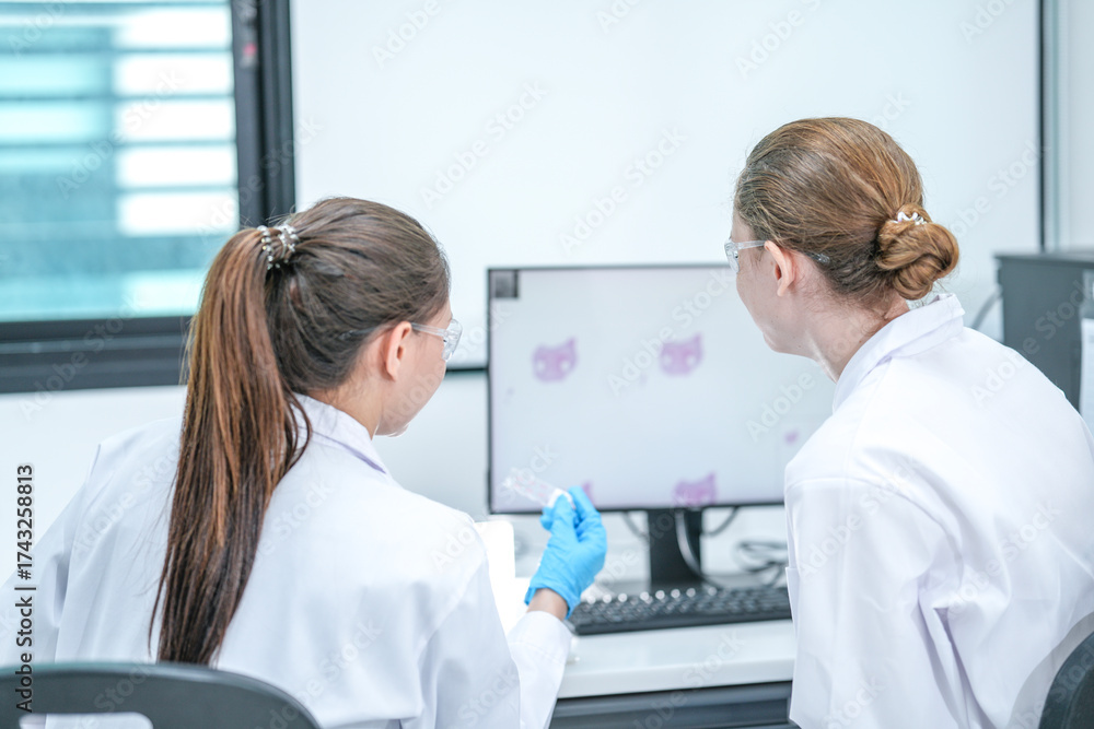 Fototapeta premium A team of two female scientists in a lab looks at microscope images on a computer screen. They are working together, comparing a real sample to the pictures to do their research.