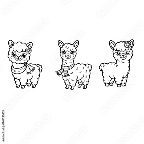 Alpaca with Scarf and Daisy for Kids’ Coloring Book, vector illustration.