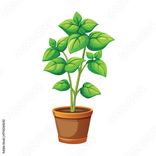 Vector illustration Green basil plant with leaves in a brown terracotta pot herb