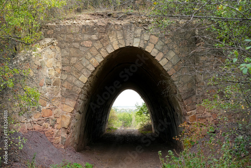 Old stone railway tunnel hidden in overgrown landscape, ancient arched architecture surrounded by wild vegetation, historic abandoned transport structure in countryside