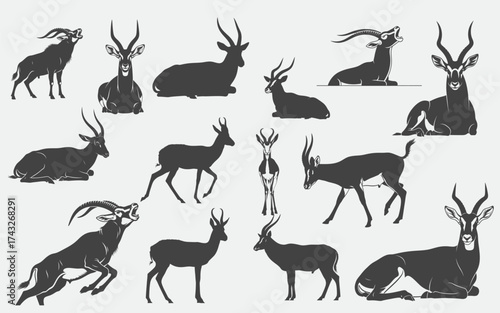 Antelope Silhouettes in Various Poses and Styles.